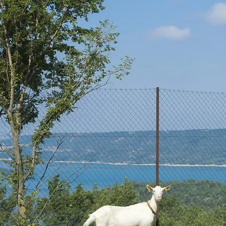 D'hotes - Ferme De Chanteraine Bed & Breakfast